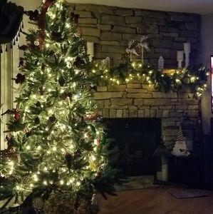 Meet your Posher, Lynne